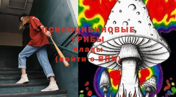 гидра Армянск