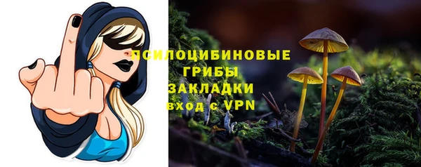 гидра Армянск