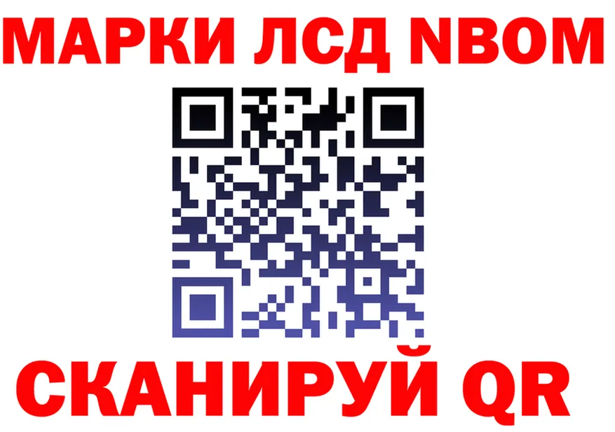 АМФ Premium tor мориарти MEGA Балтийск