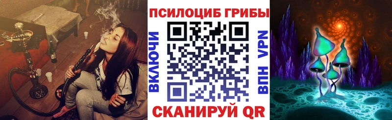 где купить   Балтийск  Галлюциногенные грибы Psilocybine cubensis 