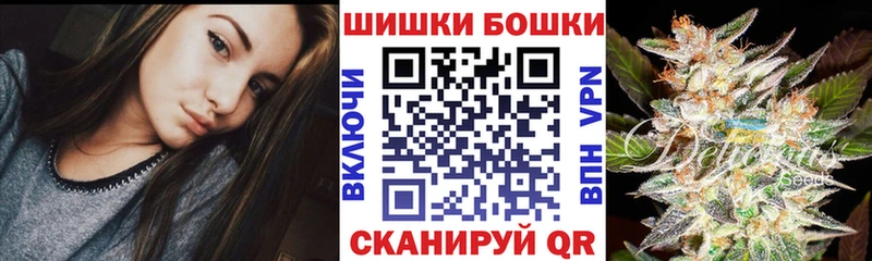 ссылка на мегу как зайти Балтийск Шишки марихуана план где купить наркоту